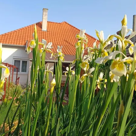 Semesterbostad Dunaparti Haz *