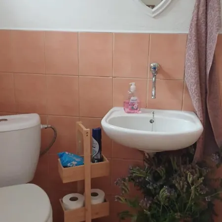 Dunaparti Haz Дом отдыха Kravany nad Dunajom