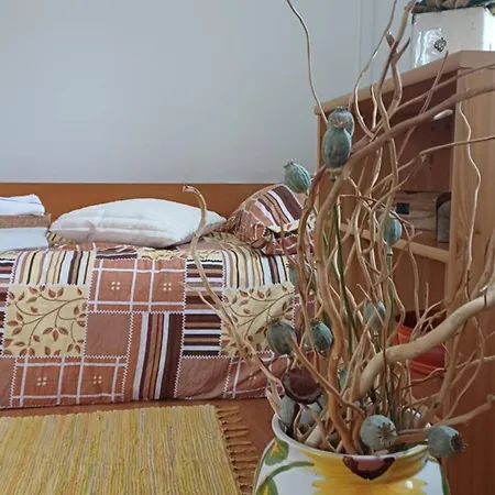 Hébergement de vacances Dunaparti Haz