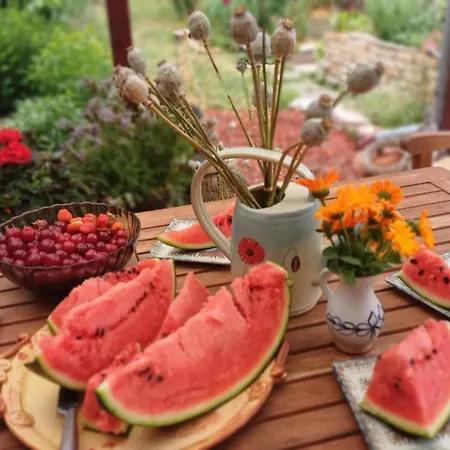 Hébergement de vacances Dunaparti Haz Kravany nad Dunajom